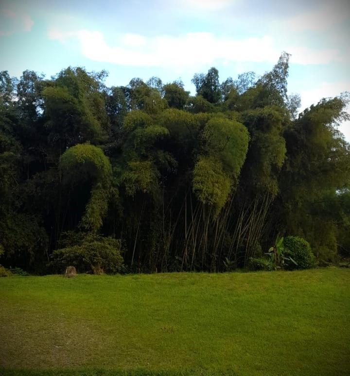 Filandia - Finca Rural La Guadalupana Hotel ภายนอก รูปภาพ